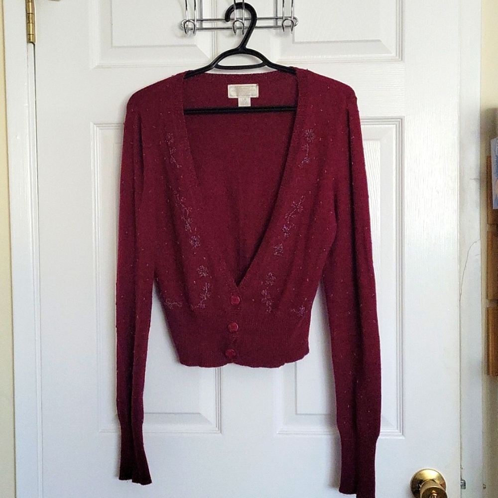 American Eagle Cardigan